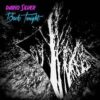 Dario Silver (Mirko Hirsch) – Back Tonight